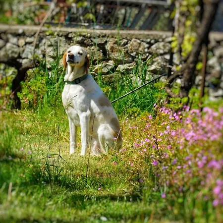 Garden 3*