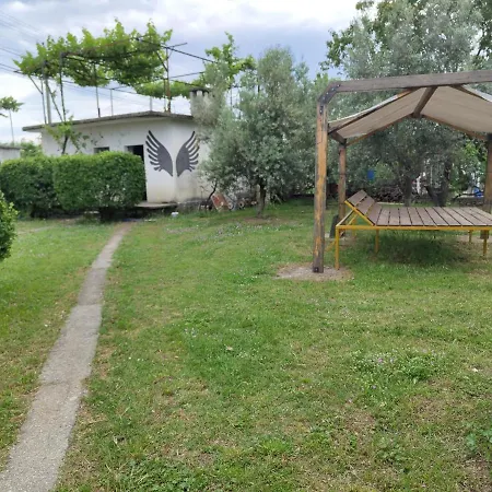 Garden 3* شكودر