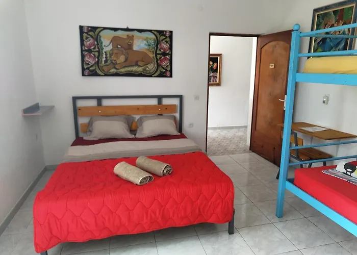 Pensión Garden Shkodër