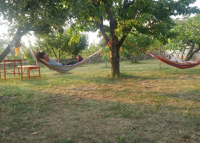 Garden 3* Shkodër